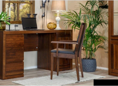 Office set Suite Furnishings Table + Armchair Solid Wood Furniture solid oak wood